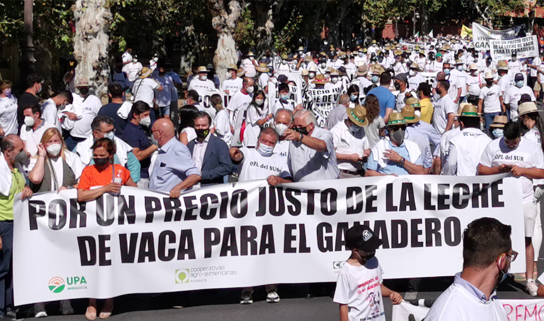 Los Agricultores Y Ganaderos Sevillanos Saldr N El Viernes A Las