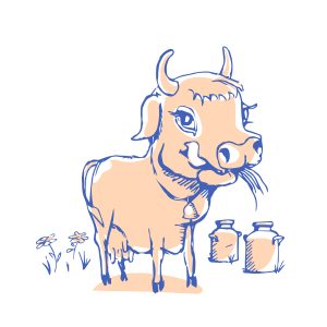 Isolated funny sketch cow for milk product. Cartoon cute cow. Use for child dairy products packaging, packaging of cheese, yogurt, or milkshake
