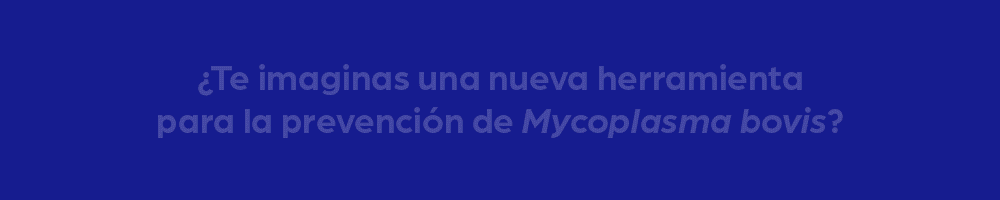 PROTIVITY_Banner-Vacuno-de-Elite_1000x200px_Dic2025_1