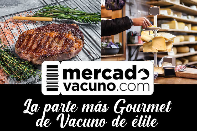 Mercado Vacuno página web gastronomía carne y lácteos