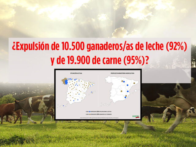 Gráfico simulación COAG de la ordenación del sector bovino español