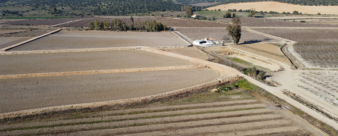 Campo agrícola Extremadura con sequía UPA