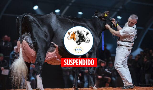 Campeonato Europeo Holstein EHRC Suspendido