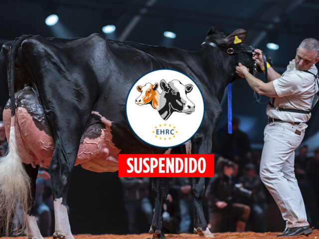 Campeonato Europeo Holstein EHRC Suspendido
