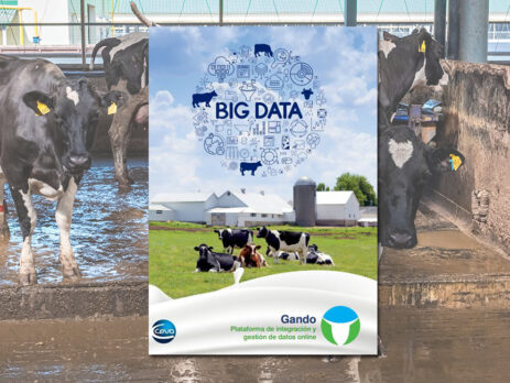 Big Data de Ceva para gestión vacuno lechero