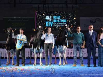 Copada Solomon Berna la Vaca Gran Campeona de Usías Holstein 2022