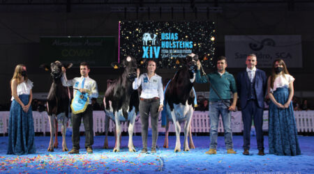 Copada Solomon Berna la Vaca Gran Campeona de Usías Holstein 2022