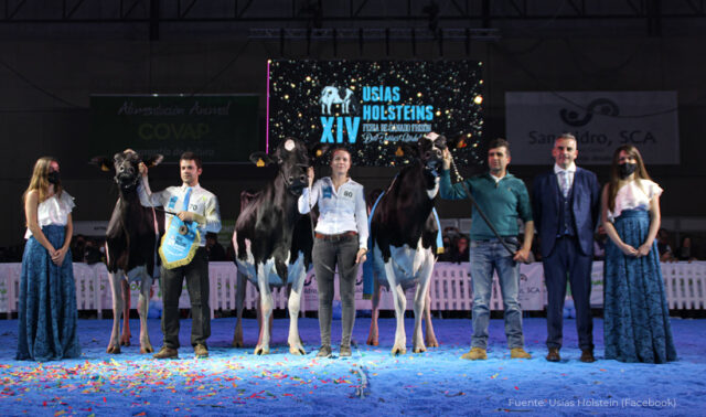 Copada Solomon Berna la Vaca Gran Campeona de Usías Holstein 2022