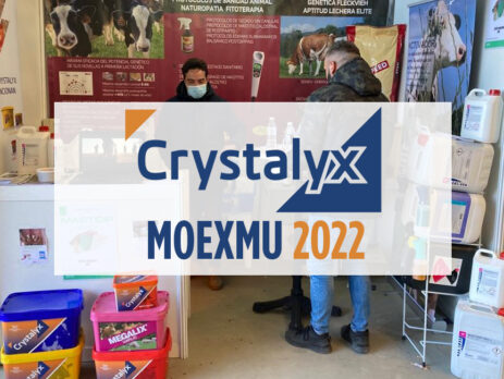 Productos para vacuno Crystalyx