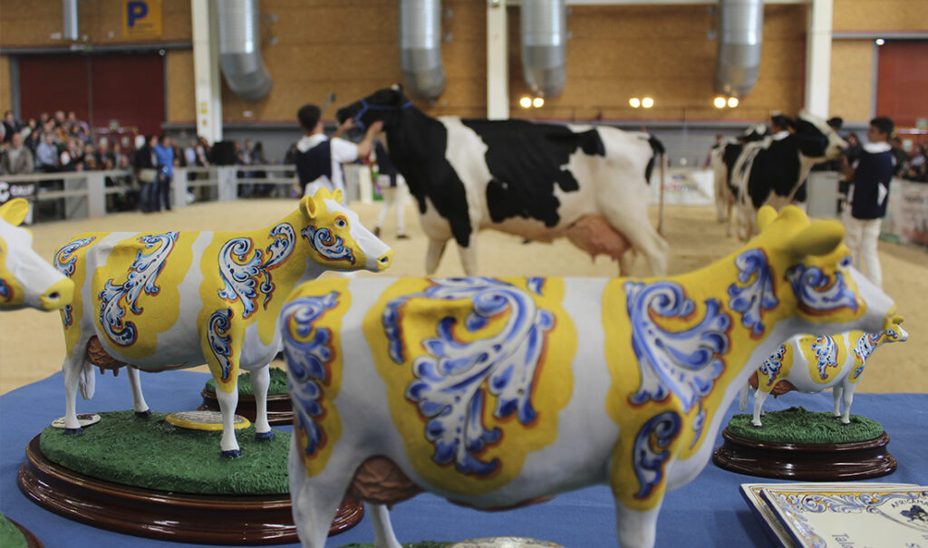 Premios vacas frisona del Open Frisón de Talavera de la Reina