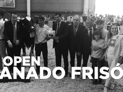 Ganadores 3º Open Frisón Talavera 2022