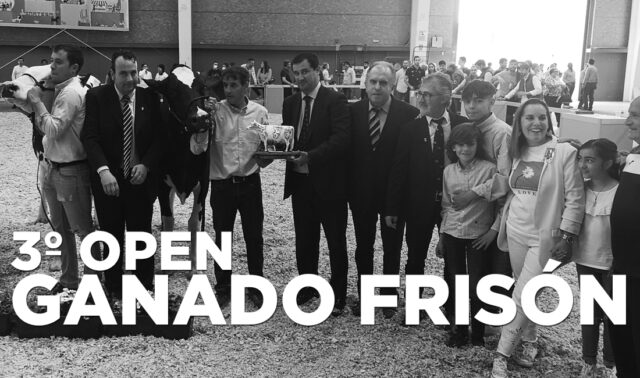 Ganadores 3º Open Frisón Talavera 2022