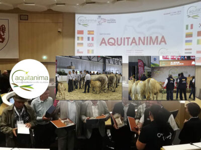 Seminario Internacional de Aquitánima en Burdeos