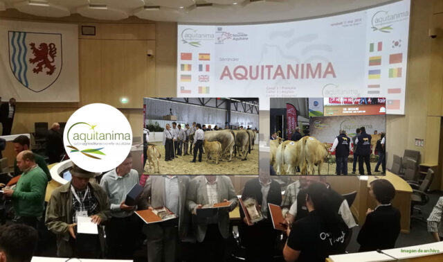 Seminario Internacional de Aquitánima en Burdeos