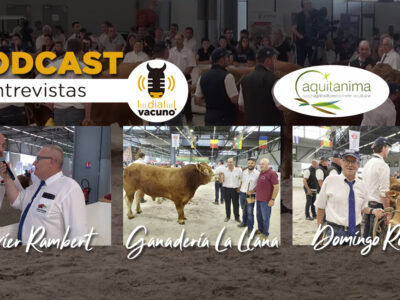 Entrevistas raza Limusin en Aquitánima 2022