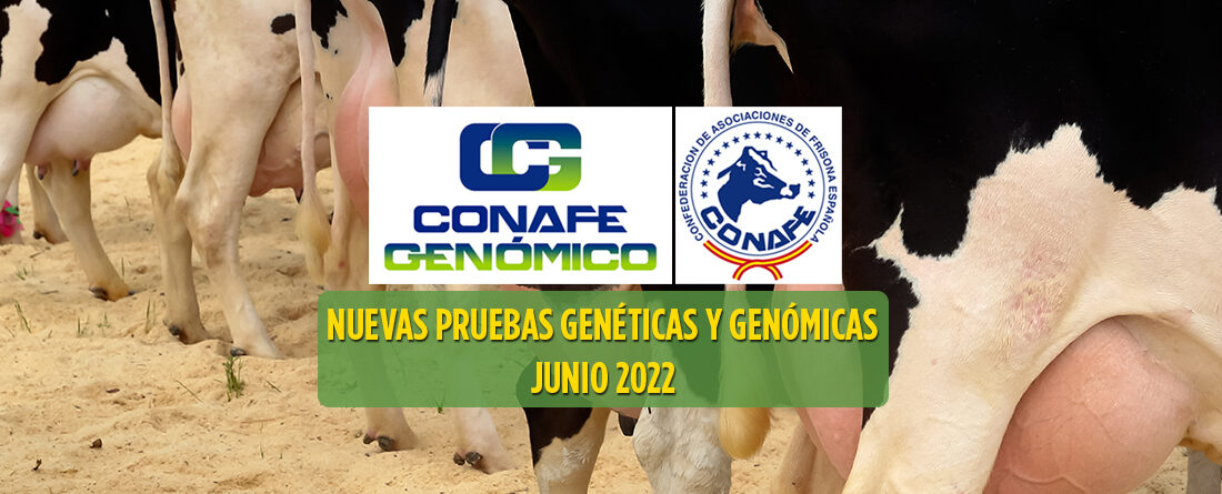 Pruebas genómicas en vacas de leche CONAFE Junio 2022