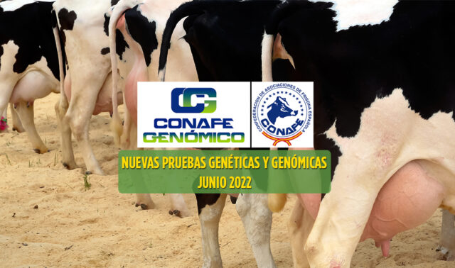 Pruebas genómicas en vacas de leche CONAFE Junio 2022