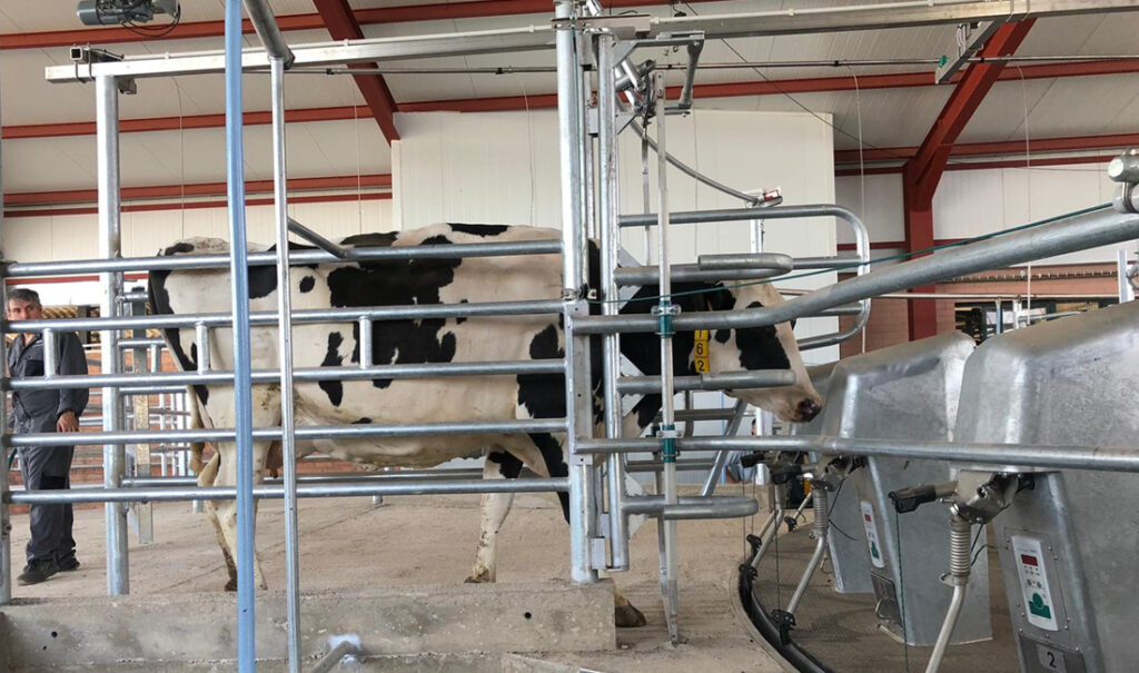 Sala de ordeño T8900 para vacas de GEA