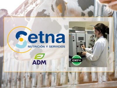 Alimentación en ganadería y vacas de leche de Setna Nutrición