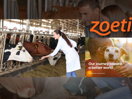 Veterinarios de Zoetis con vacas y perros