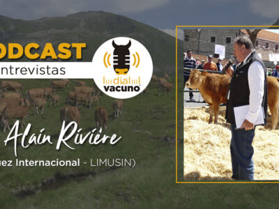 Alain Rivier Juez raza Limusín