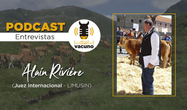 Alain Rivier Juez raza Limusín