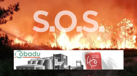 Incendio en Zamora 2022