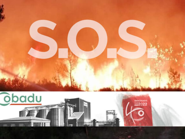 Incendio en Zamora 2022
