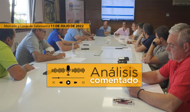 Lonja Salamanca 11 Julio 2022