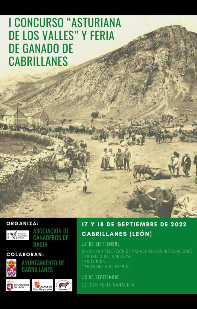 Cartel I Concurso Provincial Asturiana de los Valles 2022