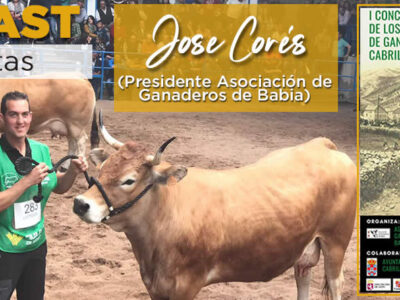 Jose Corés Presidente Asociación Ganaderos Babia