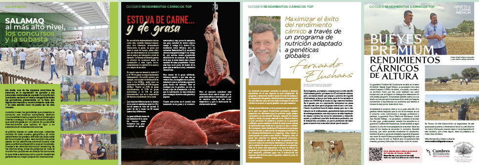 Destacados revista Vacuno de élite Carne 27