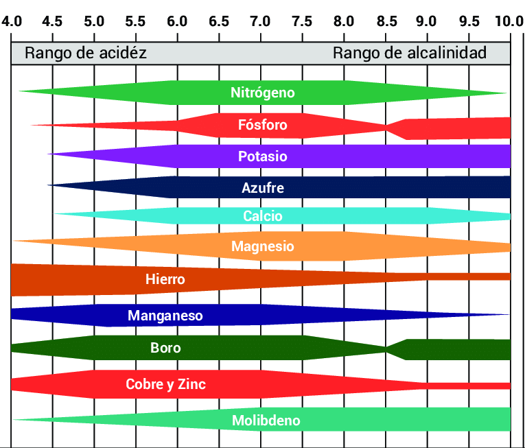 Gráfico de disponibilidad de nutrientes en suelo