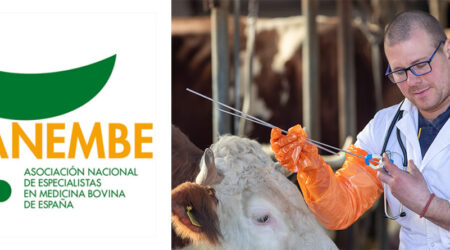 Logotipo Anembe y Veterinario insemina vacas