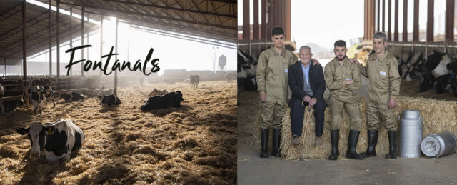 Familia Fontanals y sus vacas