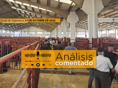 Tratantes y terneros mercado salamanca 31 octubre 2022