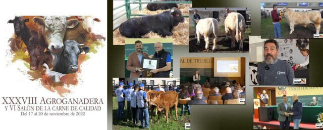 Fotos Feria Ganadera Trujillo 2022