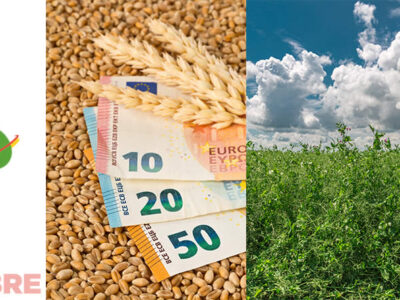 Campo de leguminosas y cereales con billetes de euros