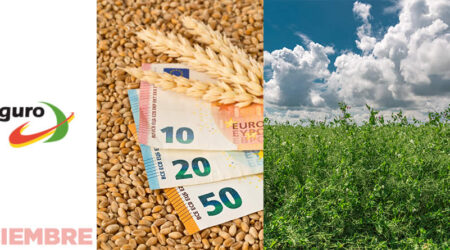 Campo de leguminosas y cereales con billetes de euros
