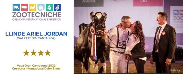 Agapito Fernández y la vaca Gran Campeona en Cremona