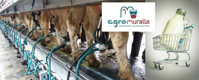 Vacas en ordeño y logo Agromuralla