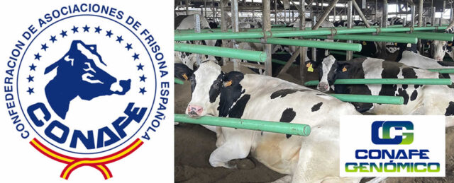 vacas lecheras y logo CONAFE