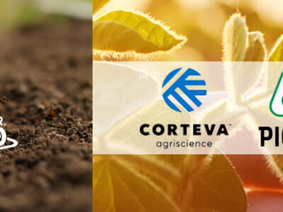 Mano con semillas Pioneer en la tierra