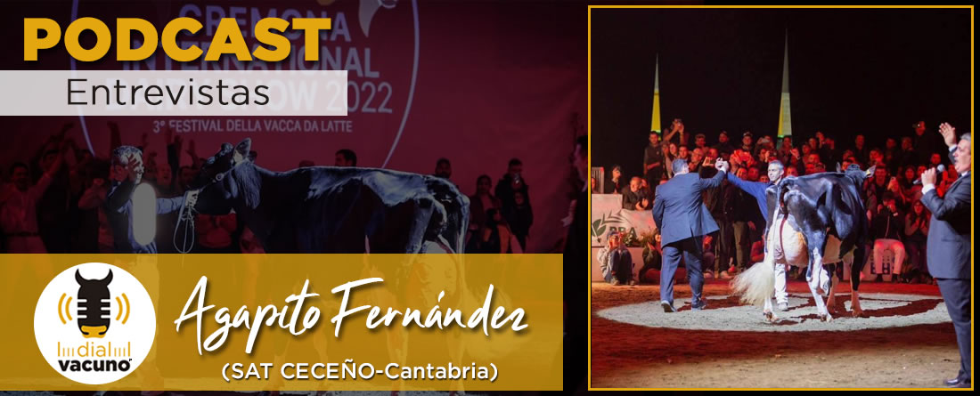 Agapito Fernández y su vaca Gran Campeona en el Cremona International Dairy Show 2022
