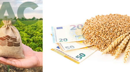 Cereales con billetes de euros y campo agrícola