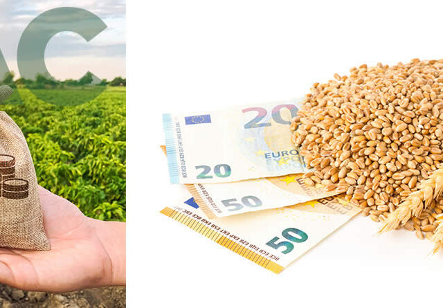 Cereales con billetes de euros y campo agrícola