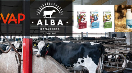 Vacas lecheras con logotipos COVAP y Alba Ganaderos
