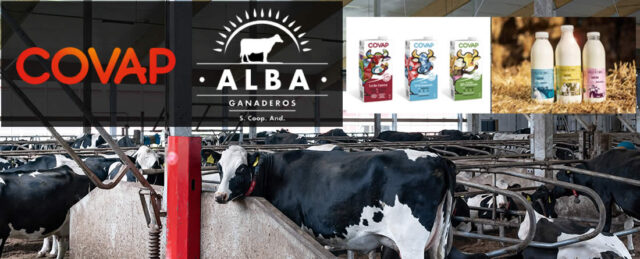Vacas lecheras con logotipos COVAP y Alba Ganaderos