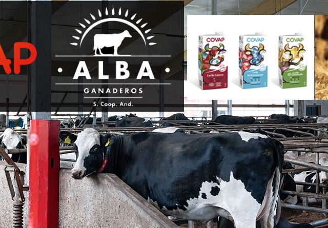 Vacas lecheras con logotipos COVAP y Alba Ganaderos