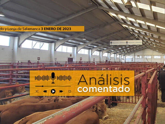 Tratantes en el mercado de ganado de Salamanca 3 enero 2023